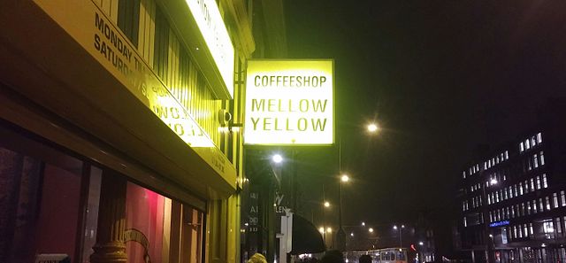 mellow yellow coffee shop 